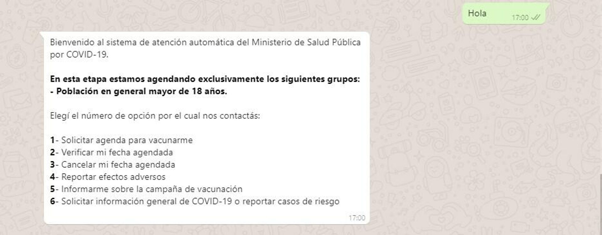 Bot del Ministerio de Salud Pública de Uruguay para vacunación contra el COVID.19 - Sputnik Mundo, 1920, 21.04.2021