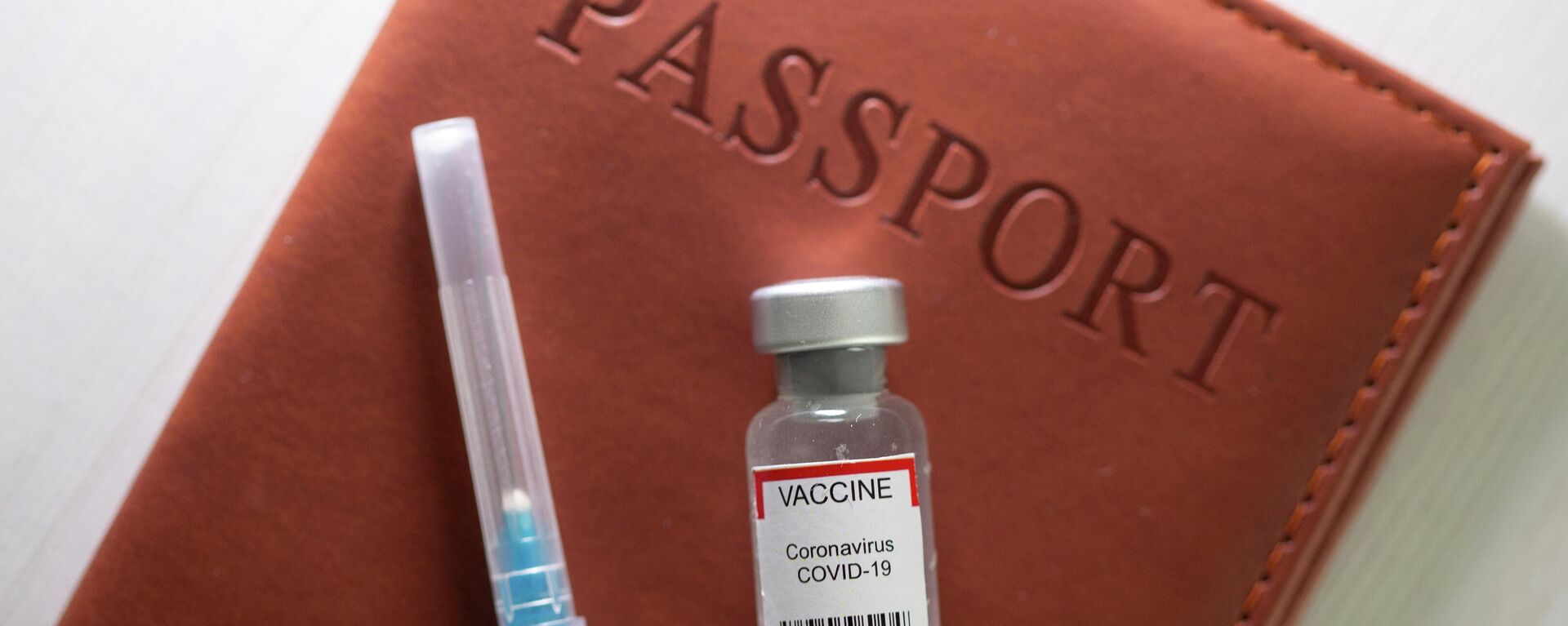 Pasaporte de vacunación contra el coronavirus - Sputnik Mundo, 1920, 21.05.2021