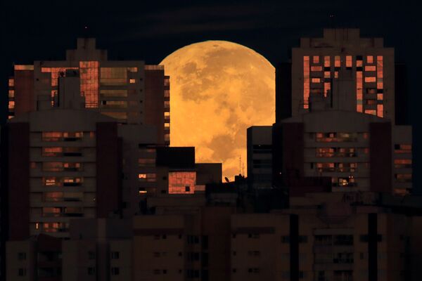 La luna detrás de unos edificios en Brasilia, Brasil, durante el inicio de un eclipse lunar total el 26 de mayo. - Sputnik Mundo