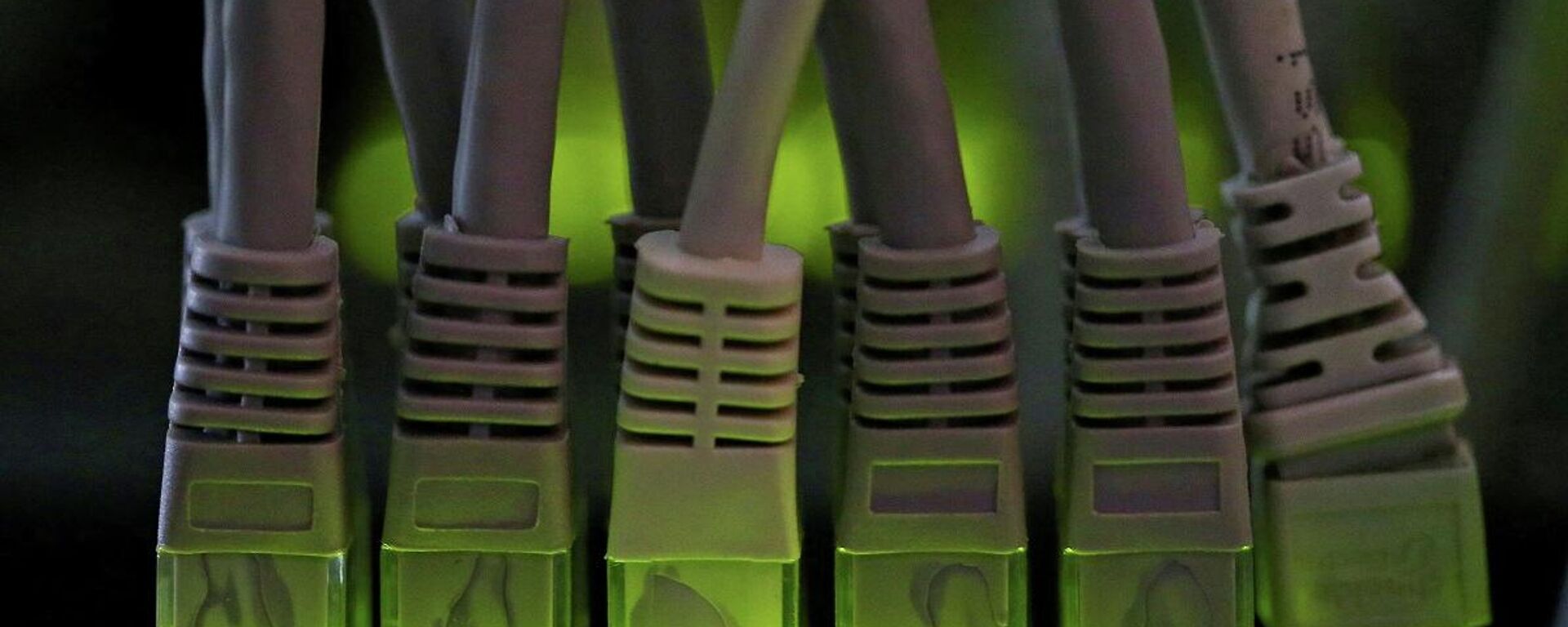 Los cables de la red LAN conectados a un servidor informático de minería de criptomonedas - Sputnik Mundo, 1920, 31.05.2021