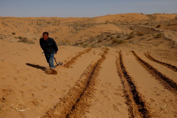 Un hombre prepara el terreno para la siembra en el borde del desierto de Gobi, en la provincia de Gansu.  - Sputnik Mundo
