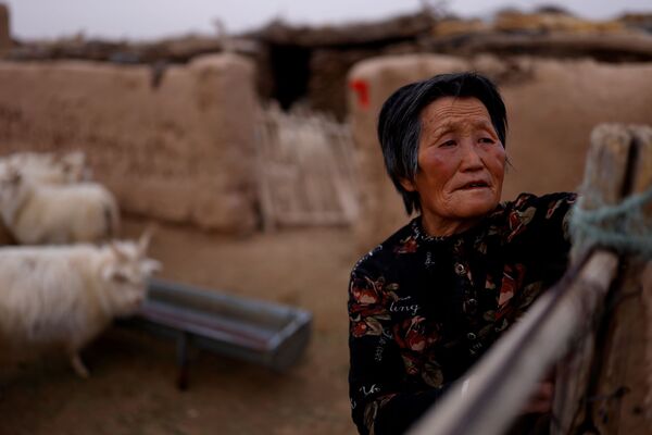Los &#x27;dragones amarillos&#x27;, como los chinos llaman poéticamente a las tormentas de polvo, se tragan cada año hasta 1.300 kilómetros cuadrados de terrenos.En la foto: una mujer y su ganado en una aldea al borde del desierto de Gobi, en la provincia de Gansu.  - Sputnik Mundo