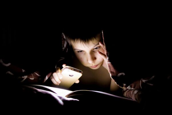 En la categoría infantil mundo de las personas, Daria Polomoshnova se llevó el oro con una foto de su hermano leyendo un libro en un día en que les faltó energía eléctrica en su casa. ¡Con un libro interesante, no necesitas Minecraft!, se bautizó la instantánea. - Sputnik Mundo