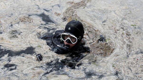 Дайвер во время очистки моря от слизи в Турции  - Sputnik Mundo