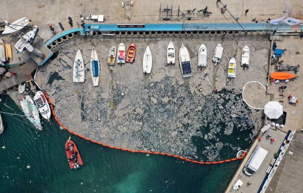 Los equipos de buceadores participan en los trabajos. También se usan barreras flotantes. En la foto: una vista aérea del lugar donde se realizan los trabajos de depuración del mar de Mármara. - Sputnik Mundo