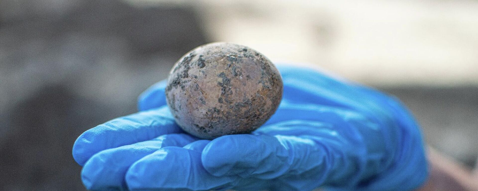 Un huevo de 1.000 años encontrado en Israel - Sputnik Mundo, 1920, 11.06.2021