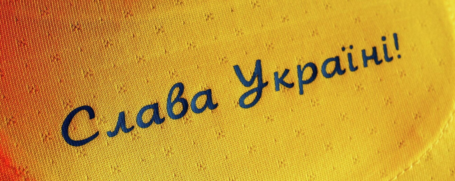 Camiseta de la selección ucraniana de fútbol con el lema ¡Gloria a Ucrania! - Sputnik Mundo, 1920, 11.06.2021