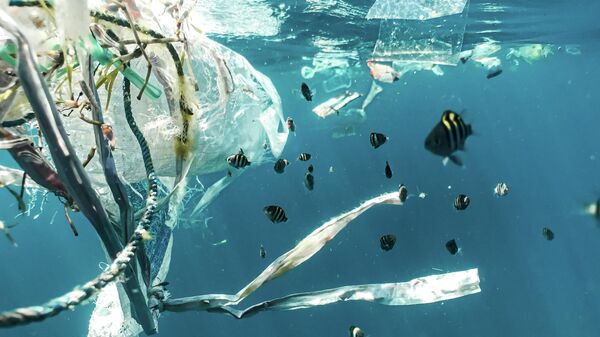 Plastic pollution and juvenile fish. - Sputnik Mundo