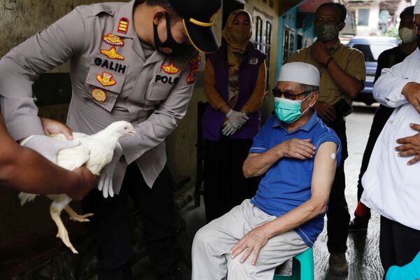 Las autoridades de la provincia de Java Occidental, en Indonesia, regalan gallinas a los vacunados de edad avanzada - Sputnik Mundo