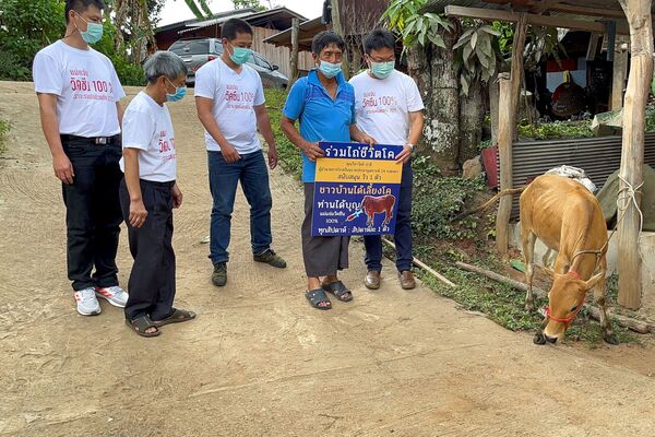 En Tailandia los vacunados pueden ganar una vaca en la lotería. - Sputnik Mundo