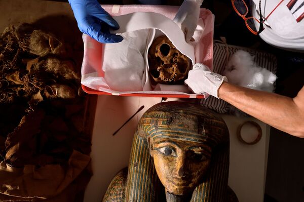 &quot;Las momias son prácticamente un museo biológico, son como una cápsula del tiempo&quot;, opina la directora del Proyecto de Investigación de Momias, Sabina Malgora, citada por la agencia Reuters. - Sputnik Mundo