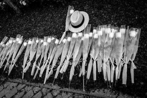 Homenaje a las víctimas de COVID-19 en Alcobendas, al norte de Madrid - Sputnik Mundo