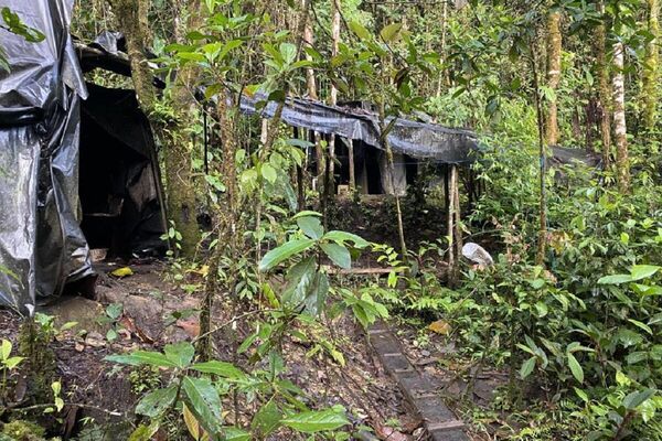 Incautación de cocaína y destrucción de laboratorios en Colombia - Sputnik Mundo