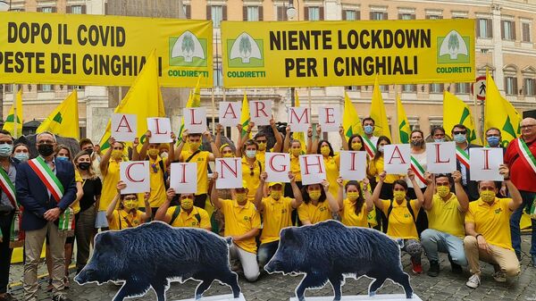 Manifestación en Italia contra una situación insostenible creada por los jabalíes - Sputnik Mundo