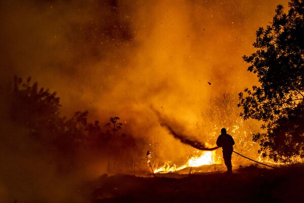 Un bombero apaga un incendio forestal en las montañas Troodos, en Chipre. - Sputnik Mundo