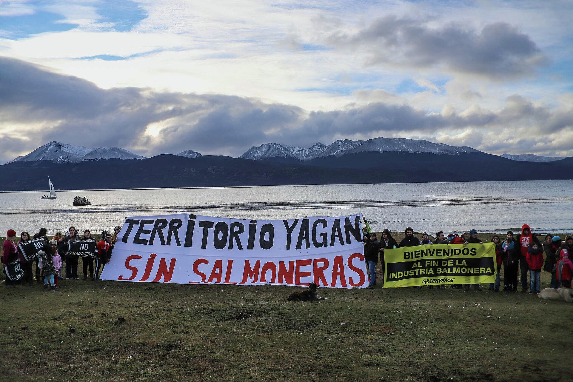 Manifestación contra las salmoneras en Patagonia chilena - Sputnik Mundo, 1920, 12.07.2021