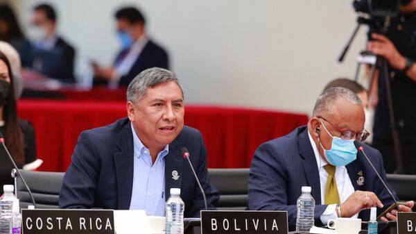 Rogelio Mayta, canciller boliviano - Sputnik Mundo