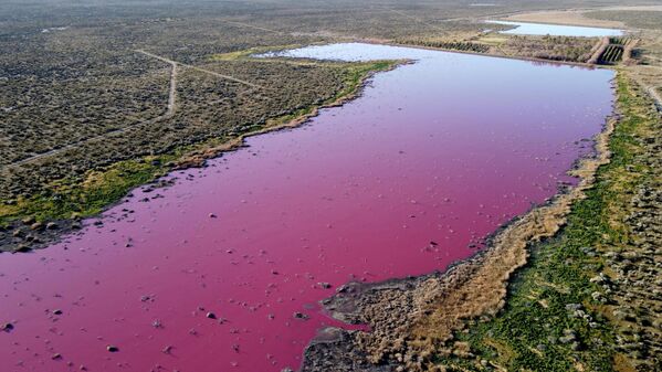 Vista aérea de una laguna que se volvió rosa debido a un químico utilizado para ayudar a la conservación del camarón en las fábricas de pesca cercanas a Trelew, en la provincia patagónica de Chubut (Argentina). - Sputnik Mundo