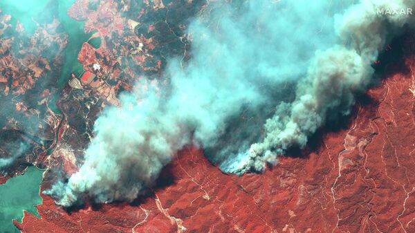 Incendios forestales en Turquía - Sputnik Mundo