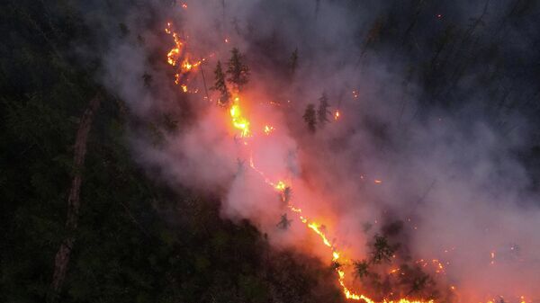 Los incendios forestales en la ciudad siberiana de Yakutia, Rusia - Sputnik Mundo