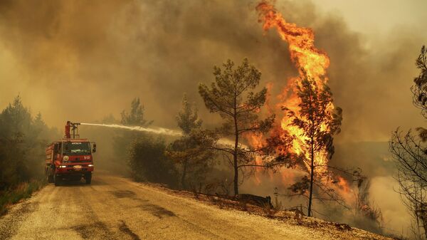 Bomberos combaten los incendios forestales en Turquía - Sputnik Mundo