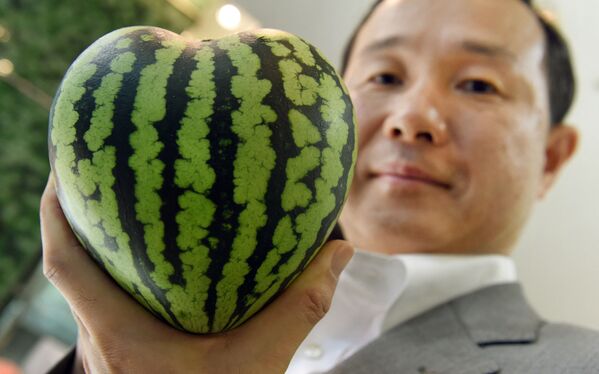 El gerente de una tienda de frutas de lujo en Tokio (Japón) muestra una sandía en forma de corazón. - Sputnik Mundo