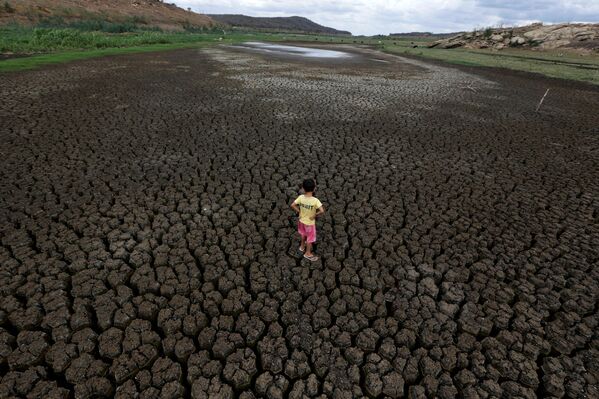 Una fuerte sequía en Paraiba, Brasil. - Sputnik Mundo