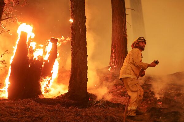 Un bombero lucha contra la propagación del fuego durante un incendio forestal cerca de Taylorsville, California (Estados Unidos) el 10 de agosto. - Sputnik Mundo