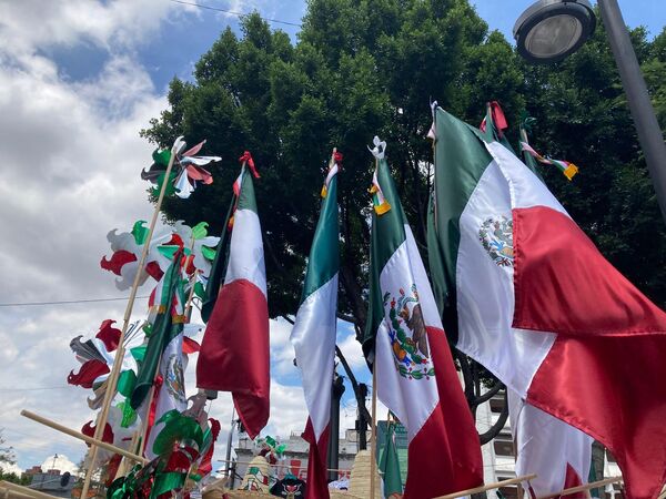 El emblema tricolor caracteriza la oferta de decena de puestos ambulantes en el centro de la capital mexicana. - Sputnik Mundo