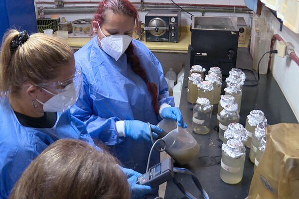 Investigadoras del Laboratorio de Ecología de Microorganismos de la UCV procesan muestras de aguas cloacales - Sputnik Mundo