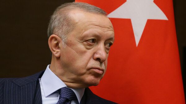 Recep Tayyip Erdogan, el presidente turco - Sputnik Mundo