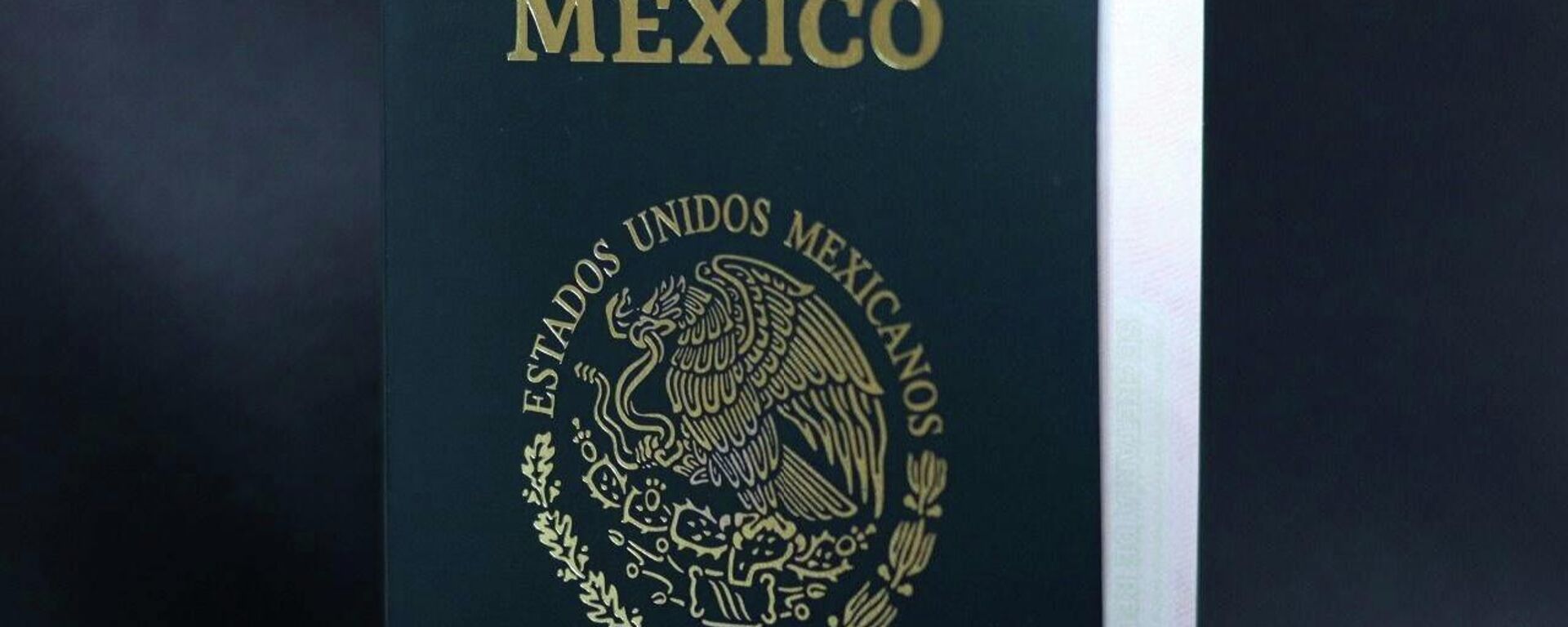 Pasaporte electrónico mexicano - Sputnik Mundo, 1920, 05.10.2021