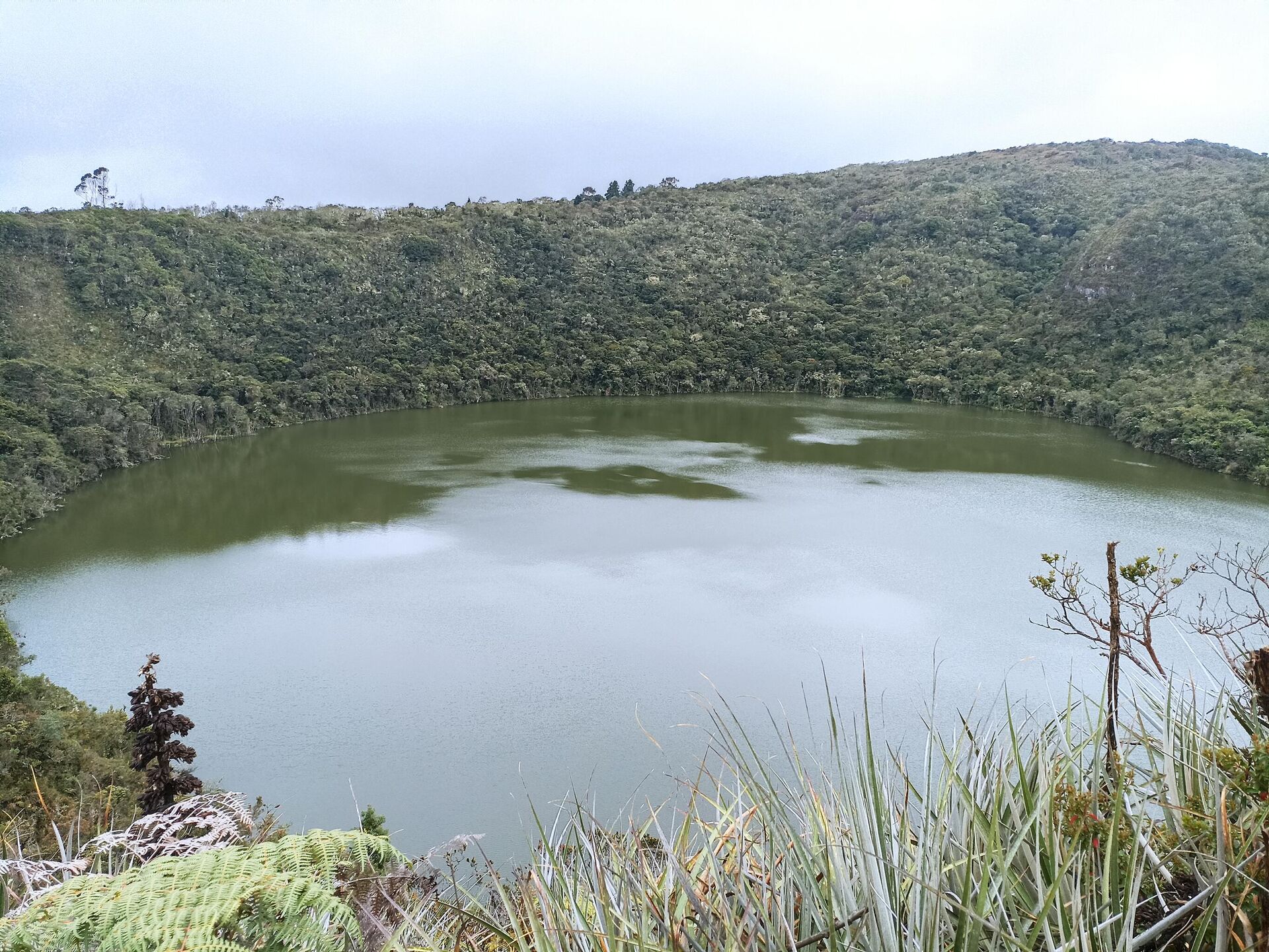 Laguna de Guatavita en el municipio de Sesquilé, Cundinamarca - Sputnik Mundo, 1920, 06.10.2021