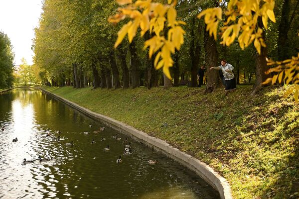 Una mujer alimenta a los patos en el parque Krasnaya Presnya en Moscú. - Sputnik Mundo