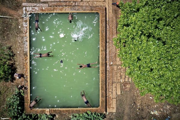 Varios niños nadan en una piscina al aire libre en las afueras de Bangalore, la India. - Sputnik Mundo