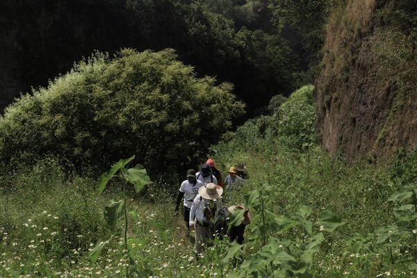 En su cuarta jornada de búsqueda en campo, la sexta Brigada Nacional de Búsqueda localizó una clavícula inhumada clandestinamente en el municipio de Yecapixtla, a 50 kilómetros de la capital de Morelos. - Sputnik Mundo