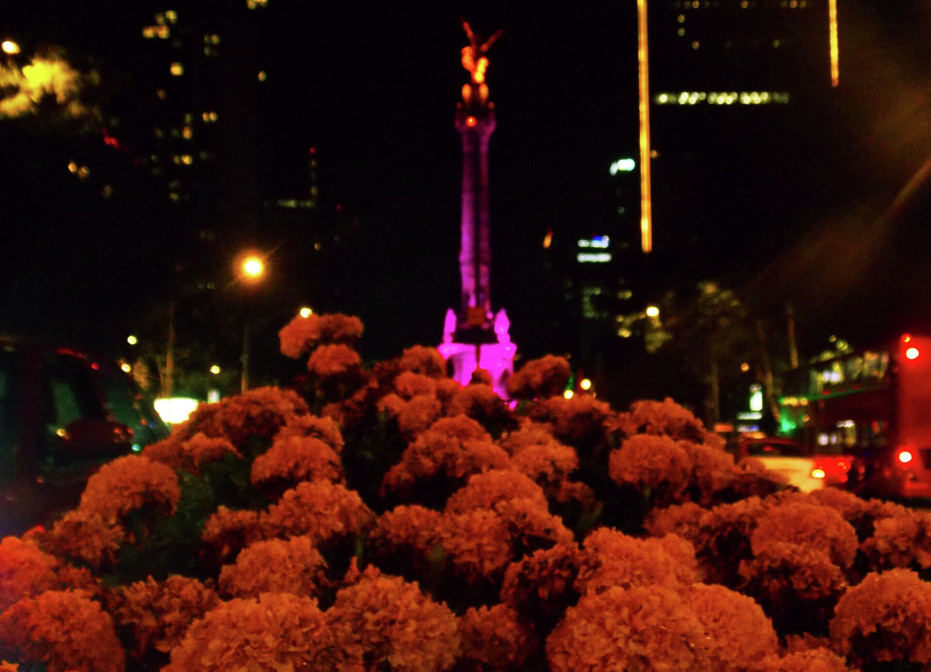 Flores de cempasúchil en Paseo de la Reforma, en la Ciudad de México - Sputnik Mundo, 1920, 26.10.2021