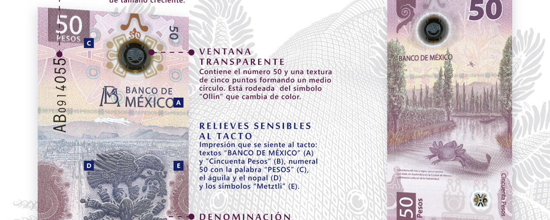 Nuevo billete de 50 pesos del Banco de México - Sputnik Mundo, 1920, 13.10.2022
