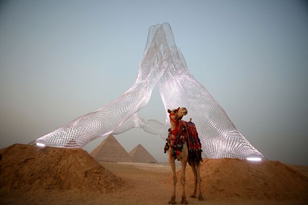 Un camello frente a la obra Together (Juntos), del italiano Lorenzo Quinn, instalada en la meseta de Giza, en Egipto. - Sputnik Mundo