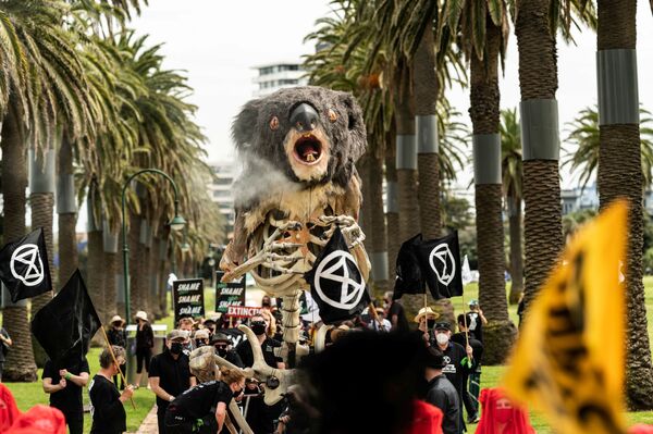 Blinky, el títere koala de cuatro metros de altura que grita y fuma, aparece entre la multitud mientras los activistas de Extinction Rebellion celebran el funeral de este animal para tomar conciencia del cambio climático, en Melbourne (Australia), el 6 de noviembre de 2021. - Sputnik Mundo