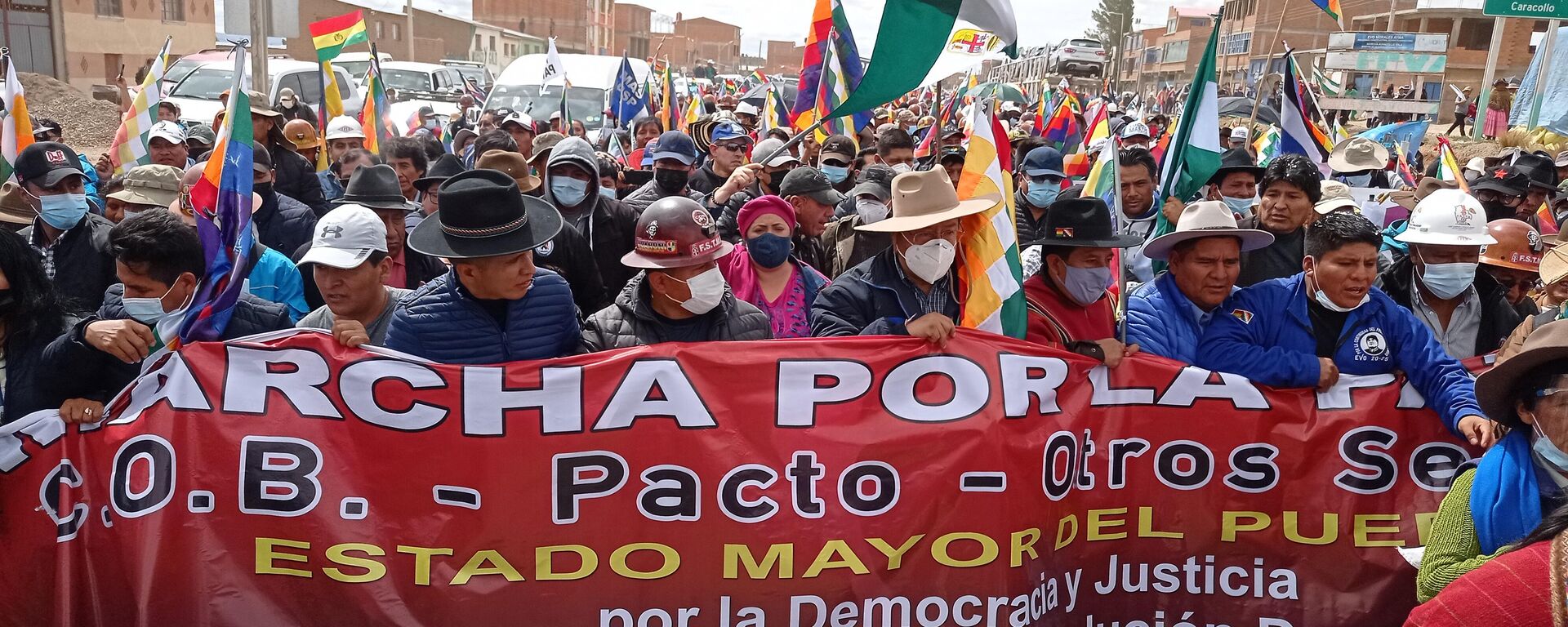 Marcha por la Patria en Bolivia - Sputnik Mundo, 1920, 23.11.2021