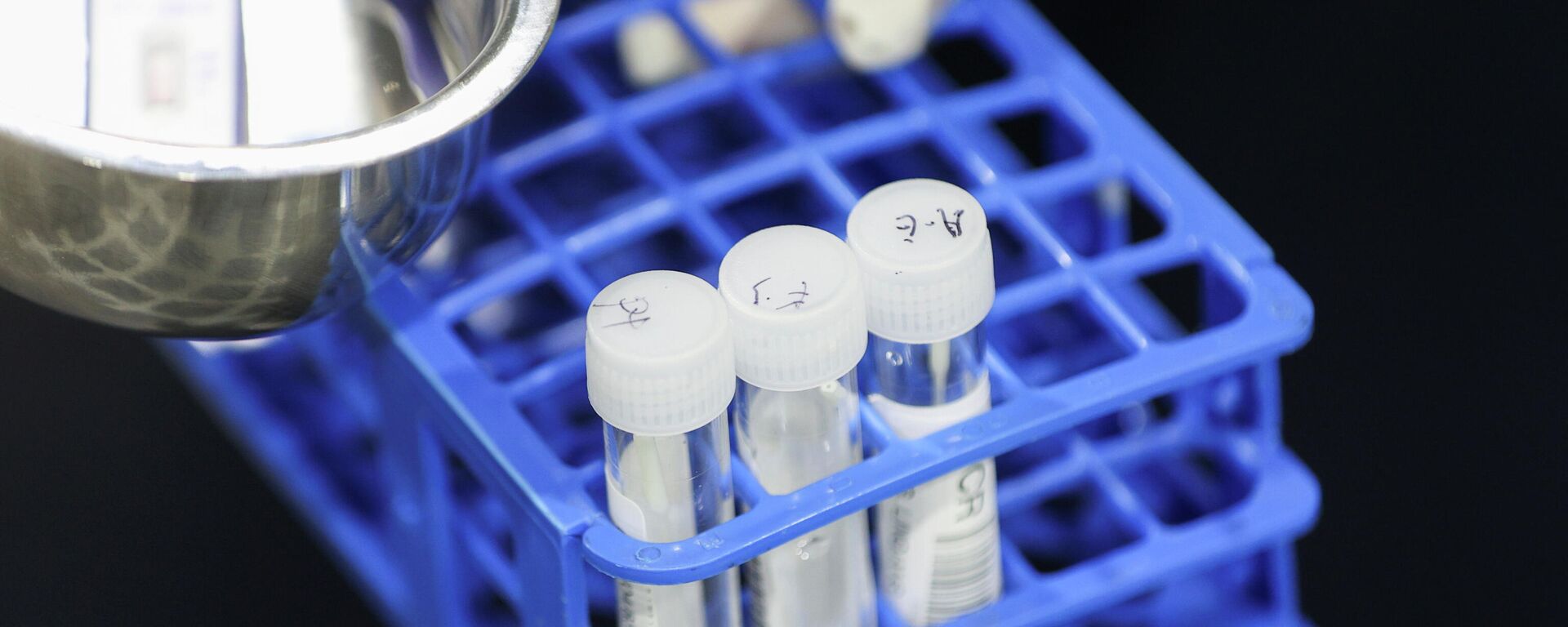 Un médico realiza pruebas RT-PCR en una instalación de prueba de COVID-19  - Sputnik Mundo, 1920, 29.11.2021