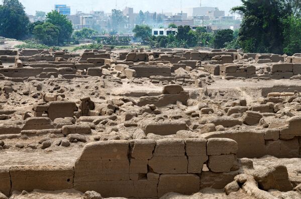 Las excavaciones fueron realizadas en Cajamarquilla, a unos 25 km al este de la capital, Lima. La zona abarca unas 167 hectáreas y es uno de los mayores yacimientos arqueológicos del país. - Sputnik Mundo