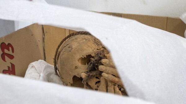 Обнаруженная мумия во время археологических раскопок в Перу  - Sputnik Mundo
