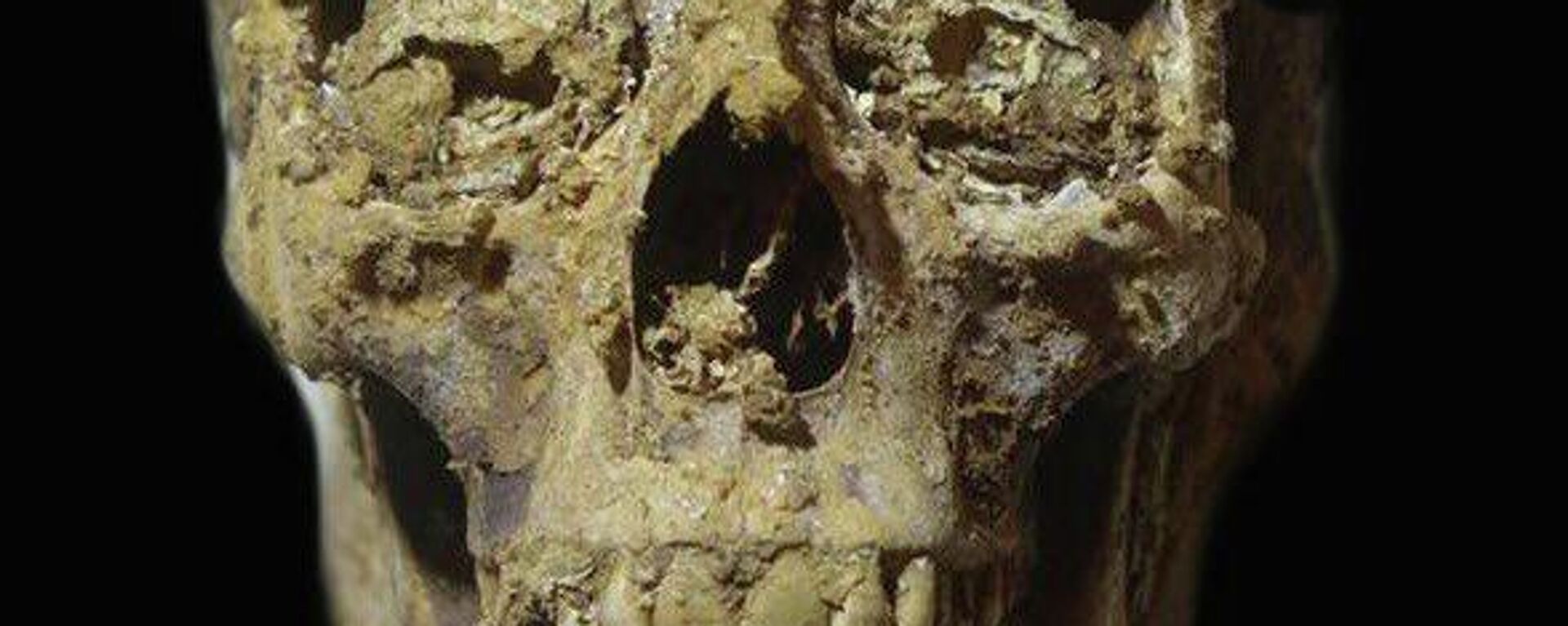 Muestra de uno de los esqueletos encontrados por los arqueólogos en Egipto - Sputnik Mundo, 1920, 07.12.2021