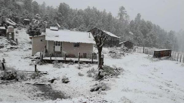 Caída de nieve en Durango - Sputnik Mundo