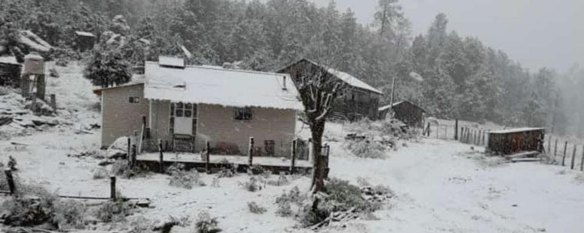 Caída de nieve en Durango - Sputnik Mundo, 1920, 20.12.2021