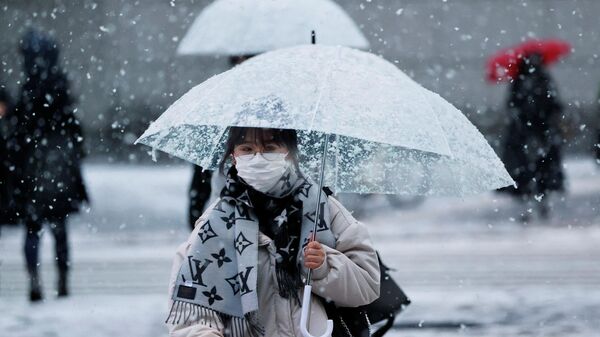 Fuerte nevada en Tokio, Japón - Sputnik Mundo