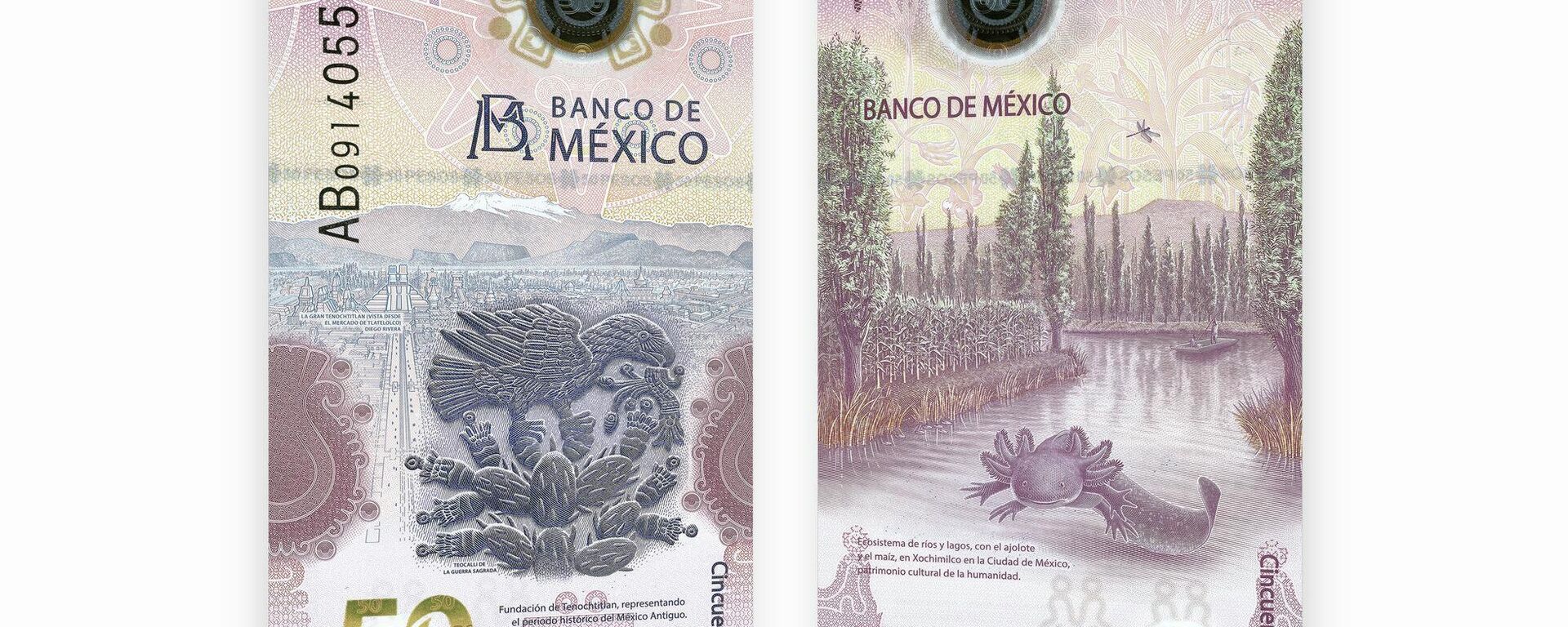 Billetes conmemorativos de México con la figura del ajolote.  - Sputnik Mundo, 1920, 09.01.2023