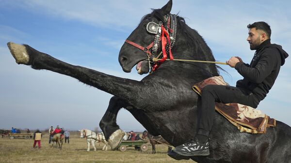 Наездник на лошади во время празднования Крещения Господня в румынской деревне Pietrosani - Sputnik Mundo